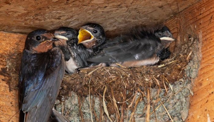 0225 - wjdb-20200721-4385-13x18-4-5-insta