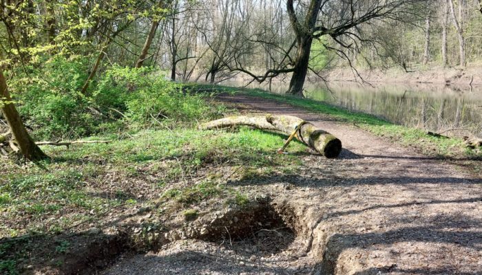 0325 - Säuberungsaktion 2026 (9)